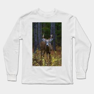 Curious Prince - White-tailed Buck Long Sleeve T-Shirt